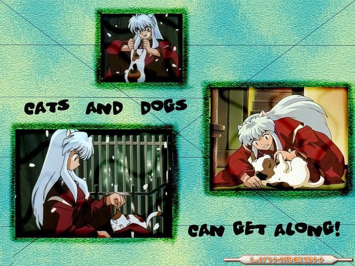 perros_y_gatos.jpg